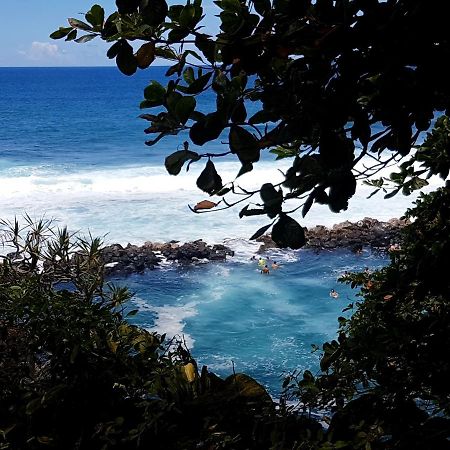 Le Gecko Vert Manapany-les Bains Luaran gambar