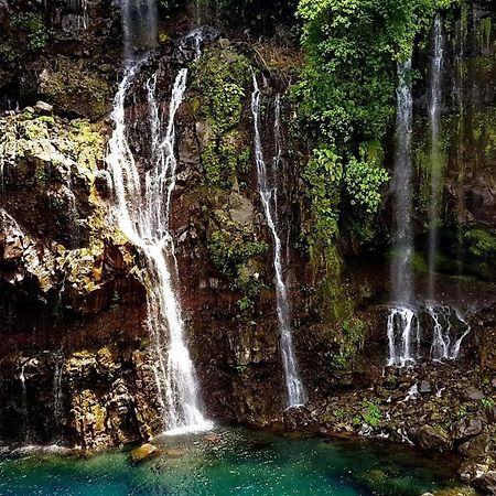 Le Gecko Vert Manapany-les Bains Luaran gambar