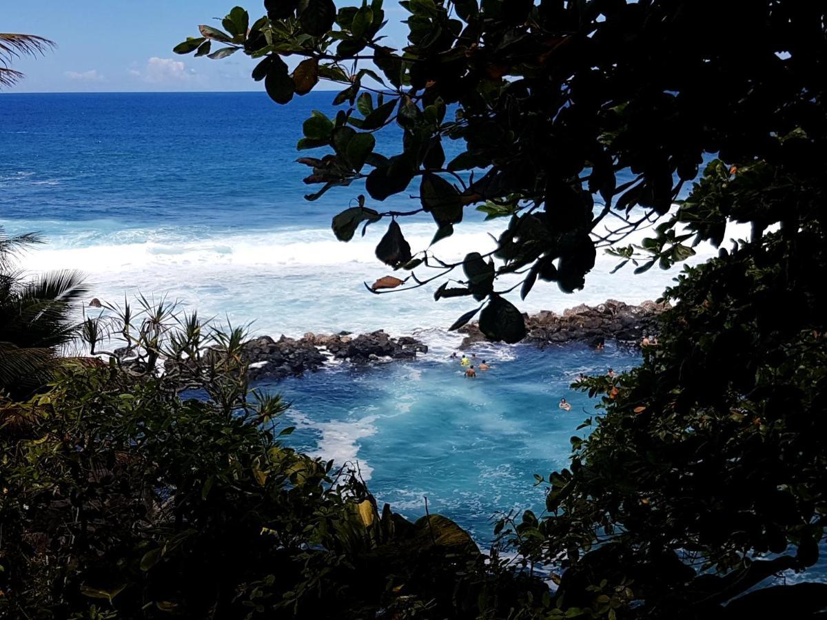 Le Gecko Vert Manapany-les Bains Luaran gambar