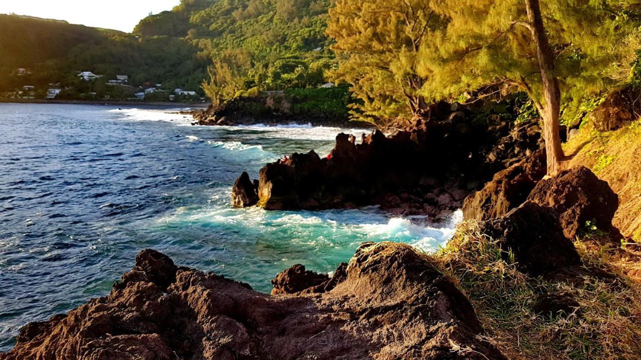 Le Gecko Vert Manapany-les Bains Luaran gambar